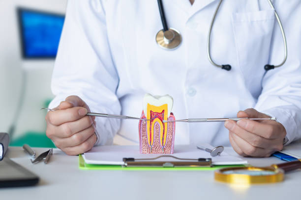 Best Emergency Dentist for Knocked-Out Tooth in Florida, NY